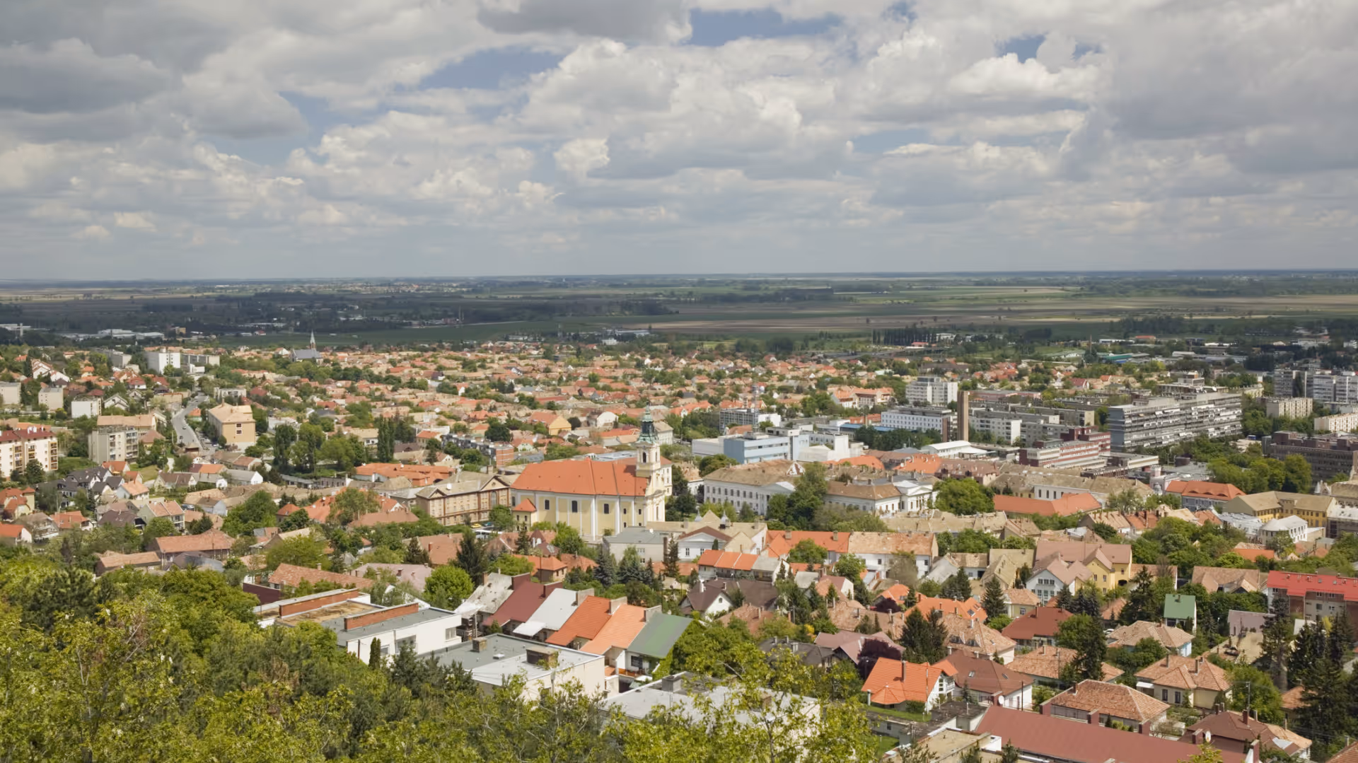 Aerial view of a town with red-roofed houses, a church, green trees, and expansive farmland beyond.